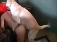 teen Agrees to take experience of fuck by dog